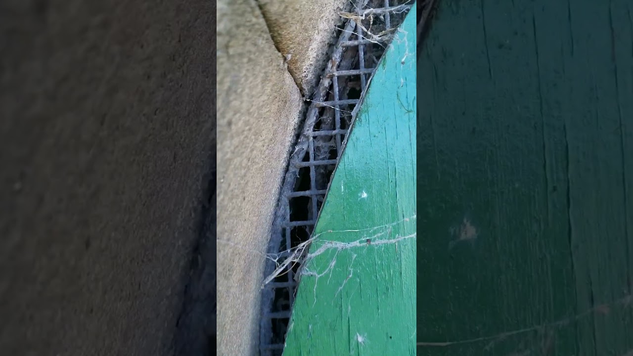 By a crypt in a cemetery.. 'It doesn't smell too good'