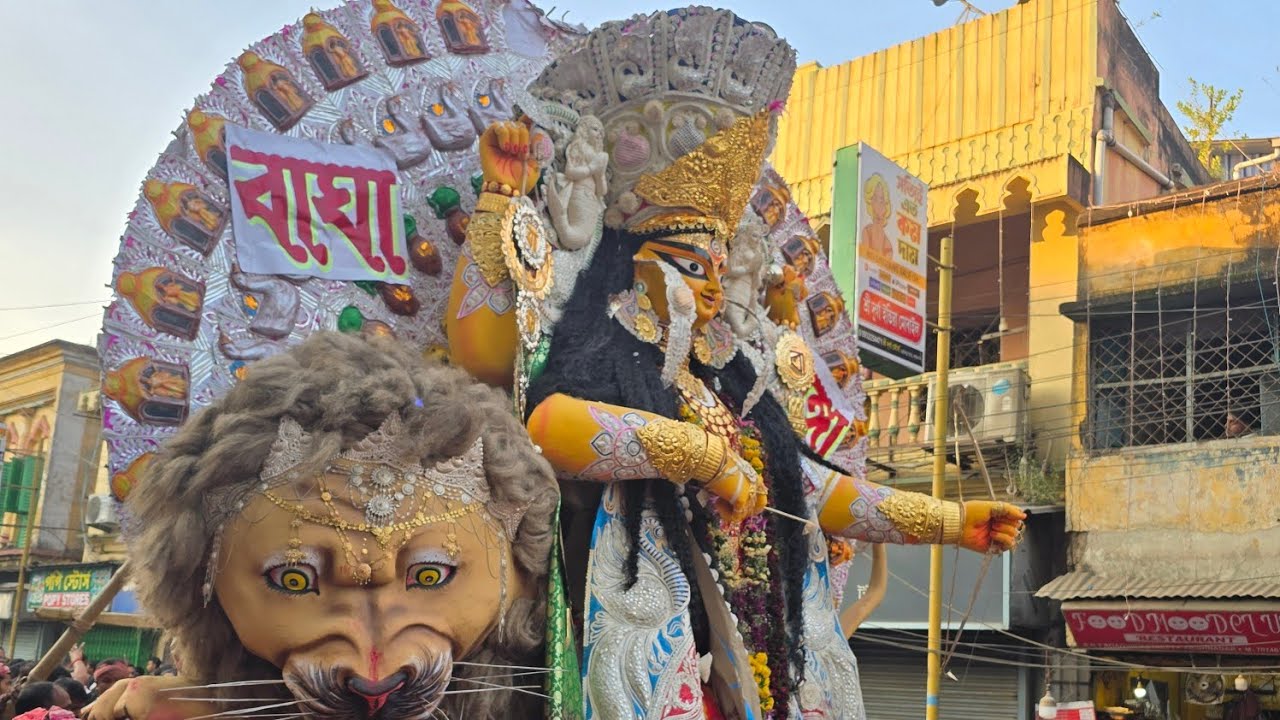 Krishnanagar Jagadhatri pujo vasan 2024 HD| Baghadanga barowari etc