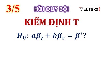 Kinh tế lượng 2.3 Kiểm định T cho nhiều hệ số hồi quy _ Hồi quy bội