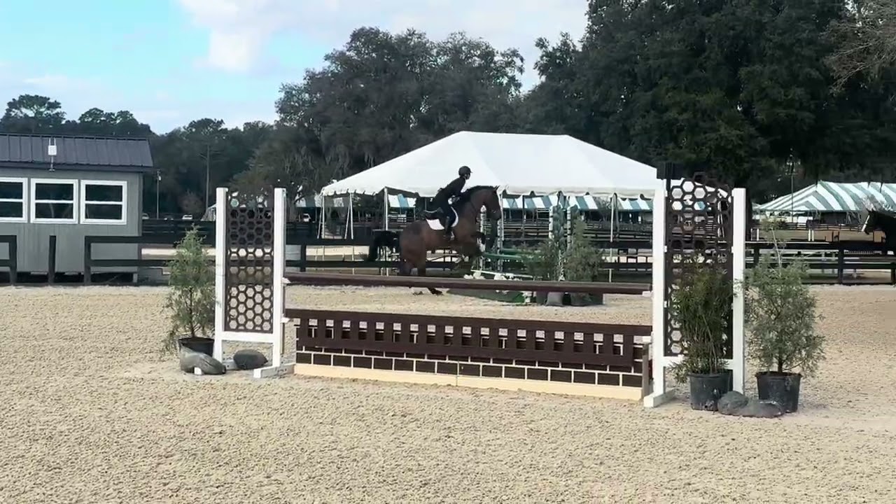 Chad - Schooling @ HITS JAN 2026