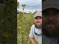 Defending Roadside Prairies!! #grasslands #conservation #roadsides #alabama