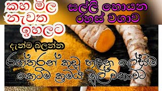 රත්තරං $වගෙ ගණන් කහවලින් මාසික $ආදායම/බිස්නස් එකට සුපිරි #කෙටිම ක්‍රම ,ලේසිම ක්‍රමය#සෙක්කුව#