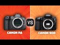 Canon r6 vs canon 90d which camera is better with ratings  sample footage