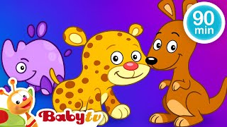 Avventura Con Gli Animali Selvaggi Episodi Divertenti E Scoperte Nella Natura