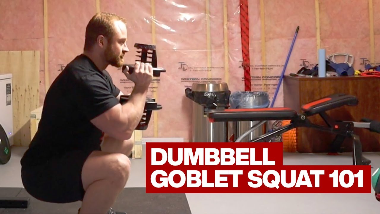 Приседания с гантелями в кубке