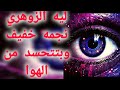 ليه الزوهري نجمه خفيف وبتتحسد من الهوا🤔