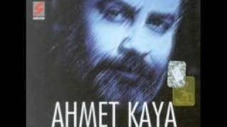 Ahmet Kaya-Zeytin Karası Resimi