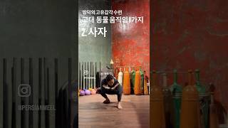 고대 동물 움직임 8가지 #고유감각 #칼라리파야투 #애니멀플로우