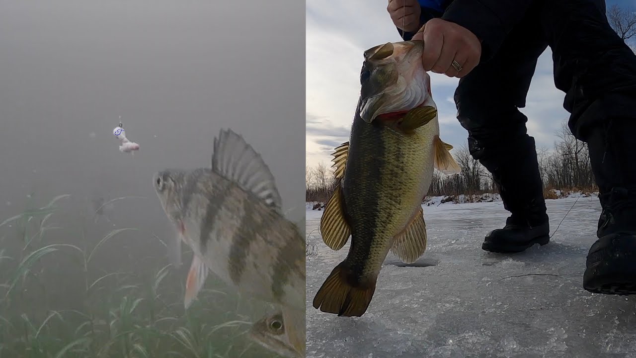 Ice Fishing with a Marcum Camera + FAT LARGEMOUTH CATCH 