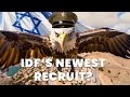 Is the idf using eagles to find hostages