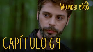 Wounded Birds (Yaralı Kuşlar) | Capítulo 69 en Español