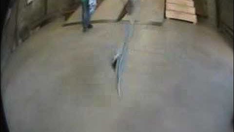 forward flip trick tips