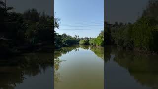 IMG 3120