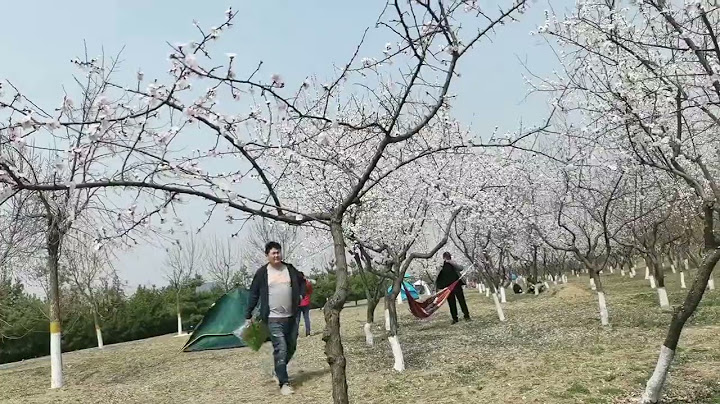 野外陆营成堆