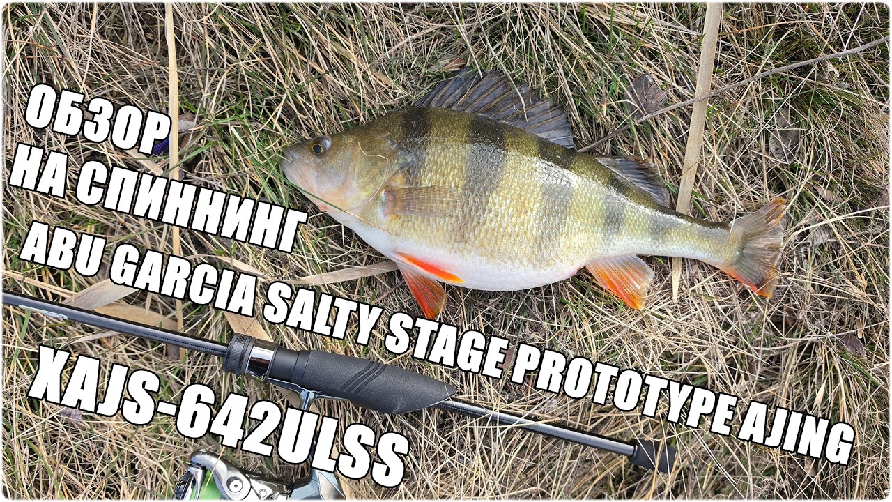 Review of the Abu Garcia Salty Stage Prototype Ajing XAJS-642ULSS