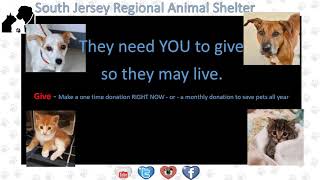 They Need YOU To Help! by SJRAS_Vineland 305 views 5 years ago 1 minute, 34 seconds