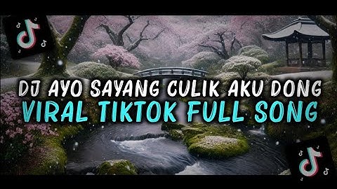 DJ AYO SAYANG CULIK AKU DONG VIRAL TIKTOK FULL SONG MAMAN FVNDY 2024