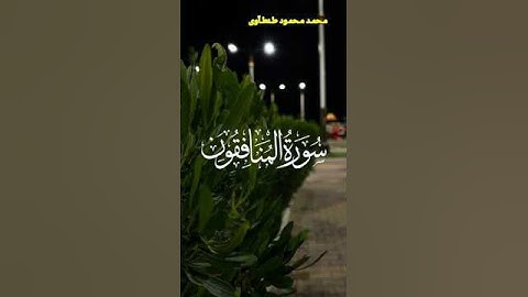 تلاوة خاشعه من سورة المنافقون القارئ محمد محمود طنطاوي#قران #قران_كريم #راحة_نفسية #قرآن #قرآن