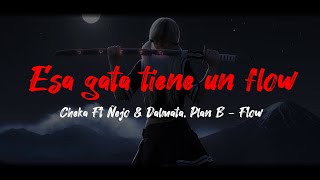 Esa gata tiene un Flow - Cheka Ft Ñejo & Dálmata, Plan B - Remix (Letra)