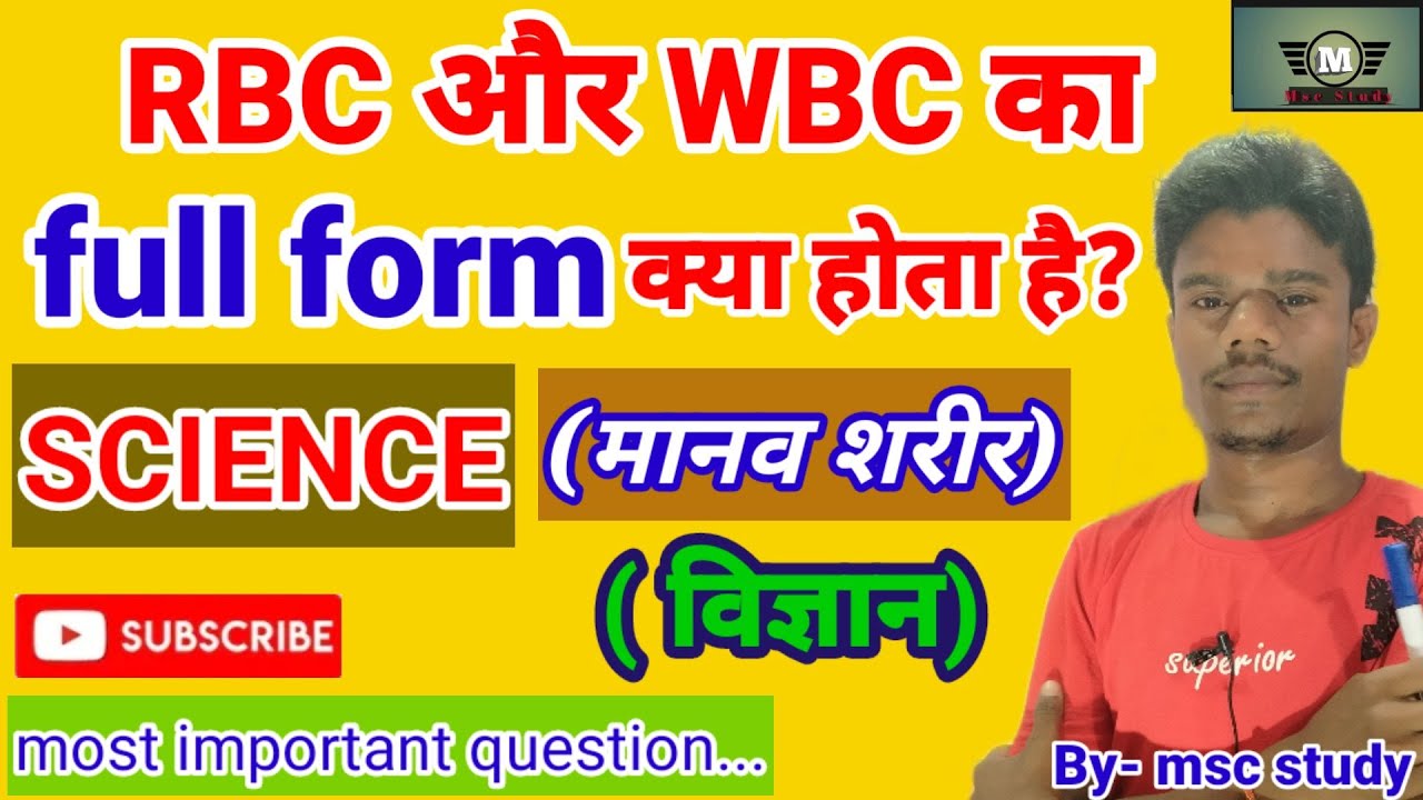 RBC WBC Ka Full Form RBC Ka Full Form WBC Ka Full rbc-wbc-ka-full-form-rbc-ka-full-form-wbc-ka-full