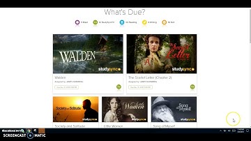 How to Screenshot and Upload into Canvas