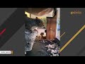 Paralyzed squirrel asks man for help. His response was perfect.