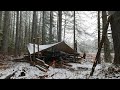 Rainy and Snowy Bushcraft Camp Overnighter - The Trappers Cabin Build