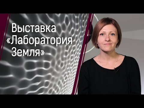 Выставка «Лаборатория Земля»: на стыке искусства, науки и технологий