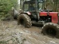 Belarus Mtz 892 in wet forest