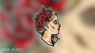 Free Latin Spanish Guitar Type Beat - Senorita Free Latin Trumpet Type Beat 2024