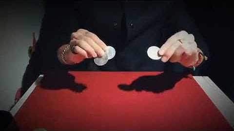 Morgan Dollar Shell and Coin Set (4 Coins 1 Shell)