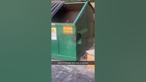 There is a surprise in the dumpster | SWNS