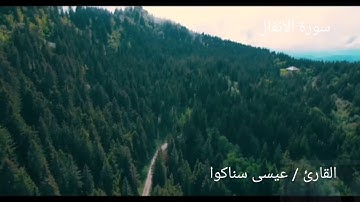 سورة الأنفال- تلاوة حجازية- عيسى سناكوا