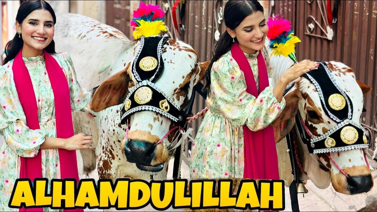 АльхумдулиЛлях♥️|Наконец-то принесенное в жертву животное было забрано| NA70