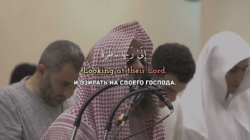 Muhammad Luhaidan Al-Qiyamah|محمد اللحيدان سورة القيامة 