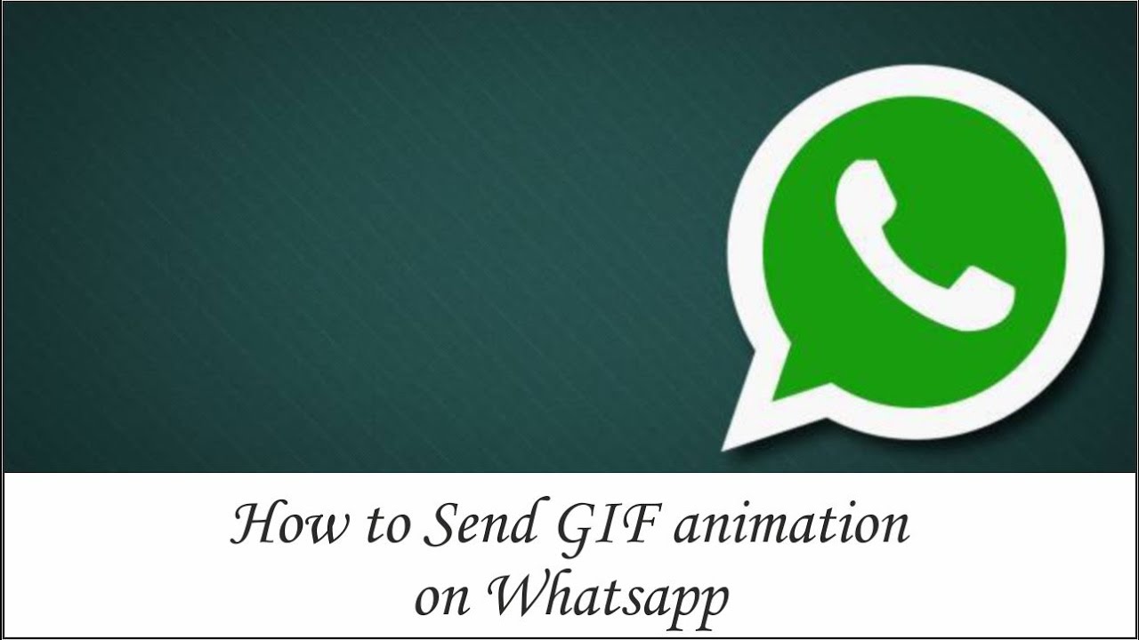 How To Send GIF On Whatsapp HINDI YouTube