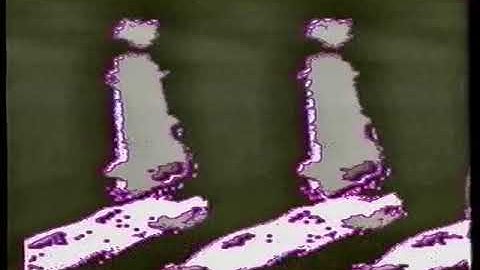 Void Hands - rc_peosy [Dark tech-noise-dubstep with just no-input feedback mixers]