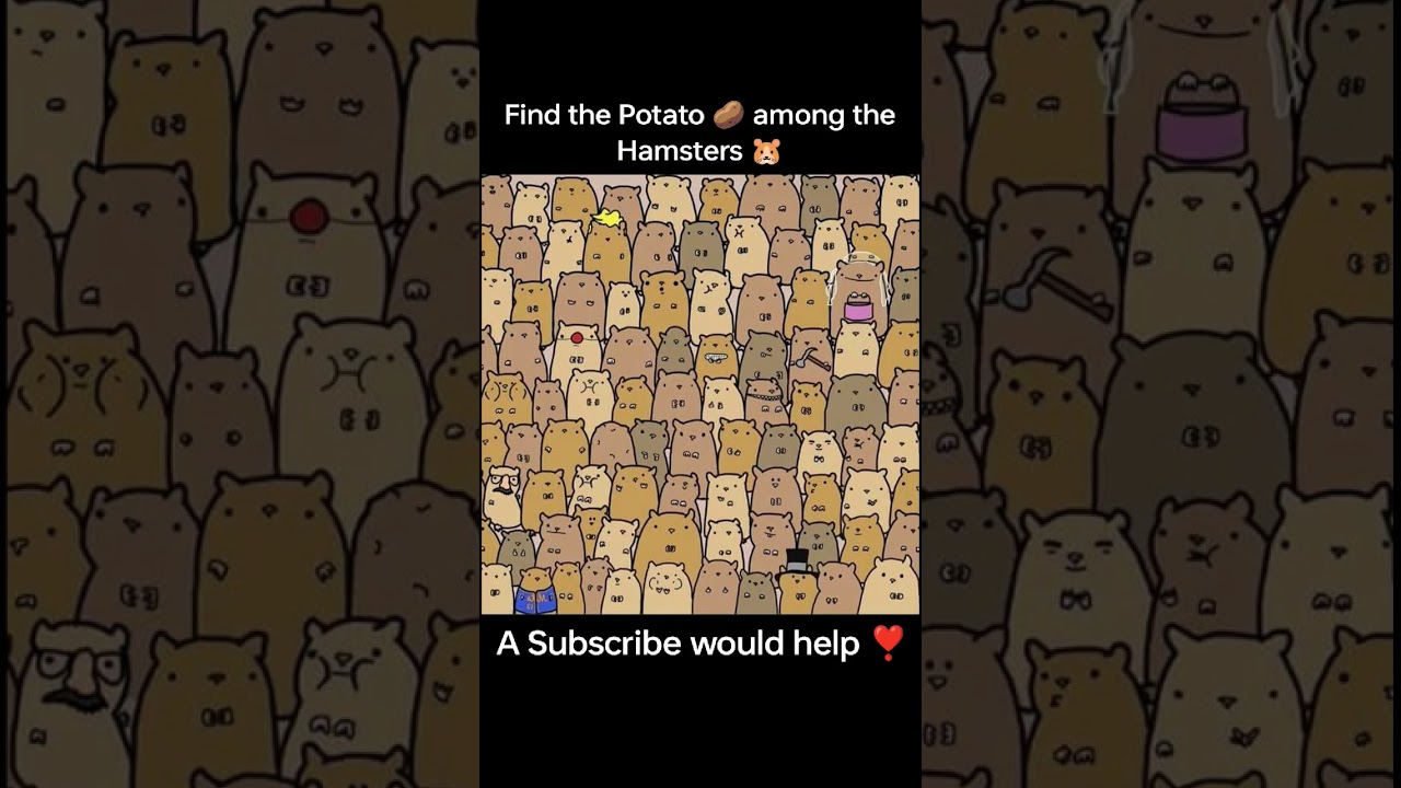 Find the Potato 🥔 