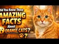 Did You Know These Amazing Facts About Orange Cats? 🧡🐱 