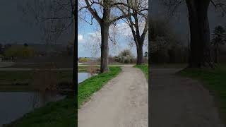 Baranja Secerana