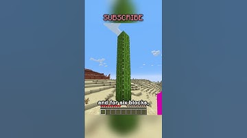 you will never find a seven block cactus (well maybe like one of you but most of you wont)