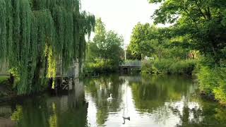 Laer Im Münsterland