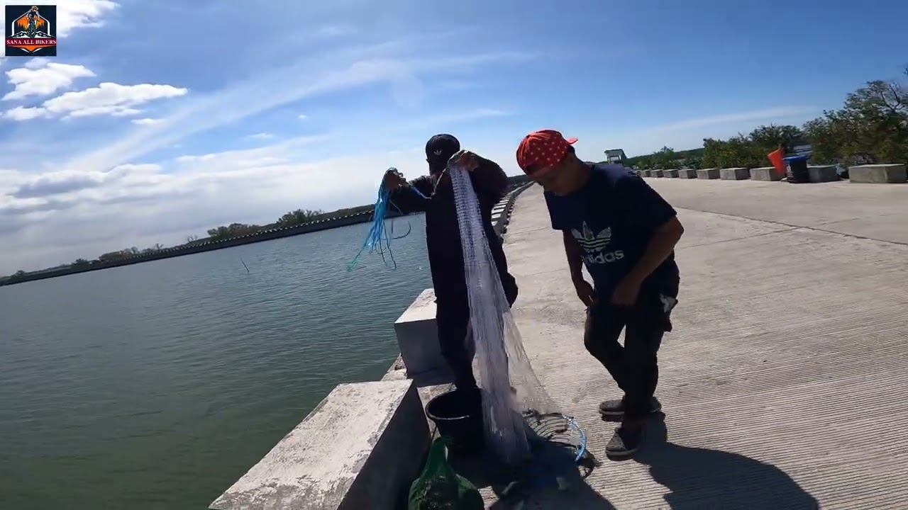 Dampalit Mega Dike, Malabon City (кавер: Faded Instrumental Music Spectrum)