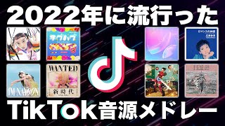 【TikTok】全部知ってたら依存症！？2022年流行ったTikTok音源メドレー！