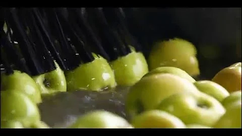 The eXact iDip® Smart Photometer System® for Process Water Testing | Industrial Test Systems, Inc.