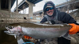 Insane Winter Steelhead Fishing - Floats Drop 