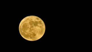 The Moon