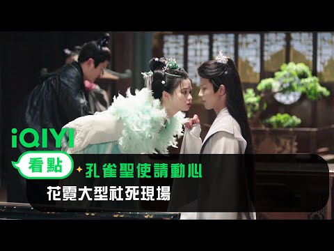 《孔雀聖使請動心》EP6看點：花霓大型社死現場 | 愛奇藝