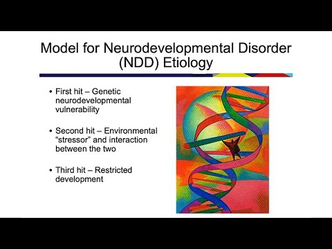 Enhancing Neurodevelopmental Resilience from Conception to Adulthood