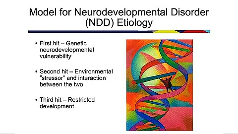 Enhancing Neurodevelopment...  Resilience from Con...